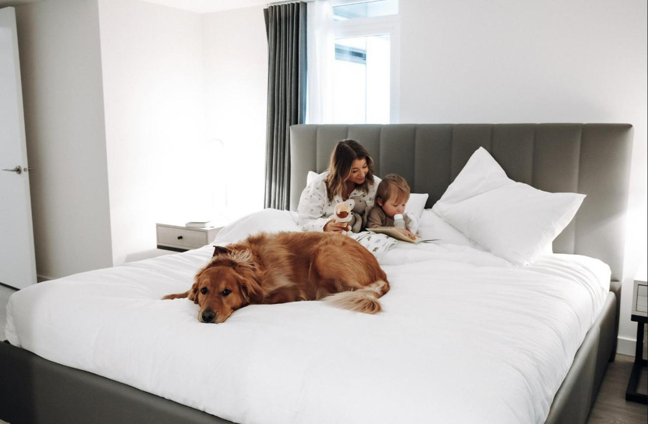 Level Downtown La South Olive Hotel Los Angeles Ngoại thất bức ảnh